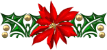 Christmas-HollyPoinsettiaBar